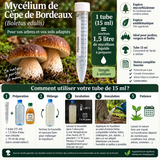 🎉 OFFRE Découverte ! Spores de Cèpes de Bordeaux 🍄 - Liquide Prêt à l’Emploi 🌱 - 15ml = 1,5L de Mycélium - Souche 100% Française