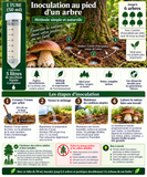 🍄 Spores de Cèpes de Bordeaux 🌱 - 50ml pour 5L de Mycélium  Notice Incluse 📖
