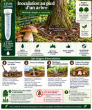 🎉 OFFRE Découverte ! Spores de Cèpes de Bordeaux 🍄 - Liquide Prêt à l’Emploi 🌱 - 15ml = 1,5L de Mycélium - Souche 100% Française