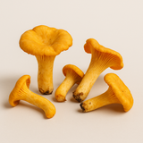 🍄 Faites pousser des Girolles Jaunes 🌱 - 50ml = 5L de Mycélium - Livraison Gratuite 🚚 - Souche 100% Française 🇫🇷