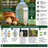 🍄 Spores de Cèpes de Bordeaux 🌱 - 50ml pour 5L de Mycélium  Notice Incluse 📖